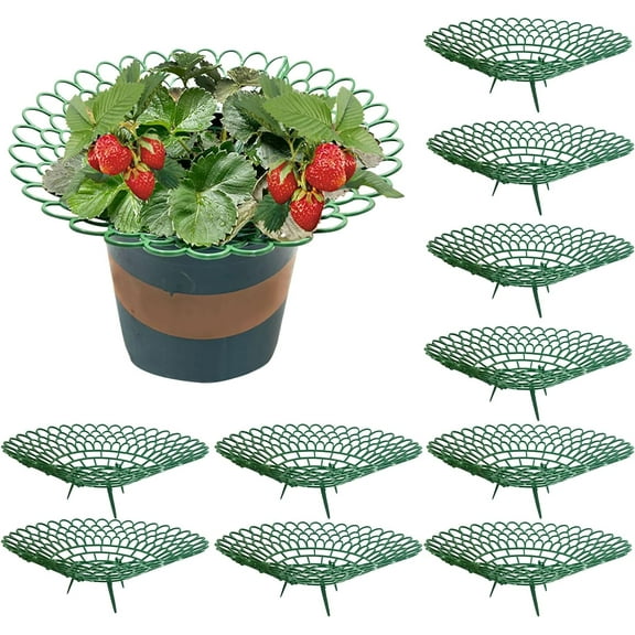 10Pcs Strawberry Plant Supports, Strawberry Support Stand Strawberry Growing Racks Protector Fruit Growing Frame with Sturdy Legs Keep Berries Clean and Avoid Ground Rot in Rainy Days