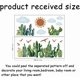 thumbnail image 2 of Pegatinas de pared de cactus con acuarela, cielo, nubes, sol, pájaros, paisaje, despegar y pegar, arte DIY, calcomanías de pared de PVC, decoraciones para sala de estar y dormitorio., 2 of 6