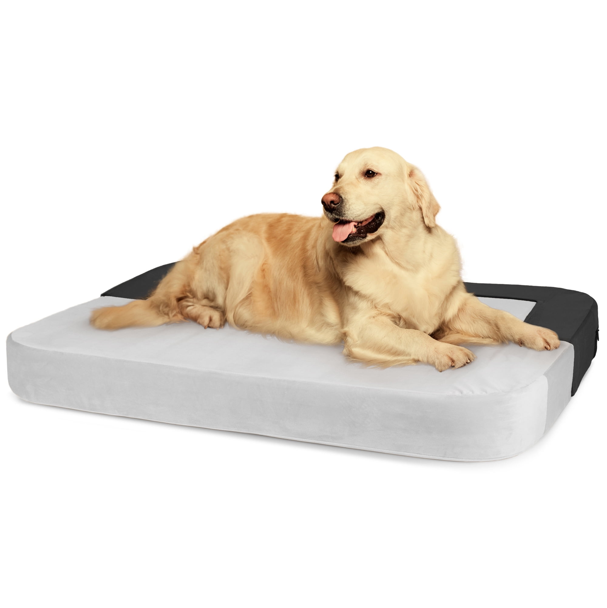 Precious Tails Orthopedic Foam Velvet Convertible Sofa Dog Bed
