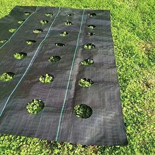 Agfabric Easy-Plant Weed Block for Raised Bed Outdoor Garden Weed Rugs Garden mat 3.0oz, 3'x12',with Planting Hole Dia 6" - image 3 of 6