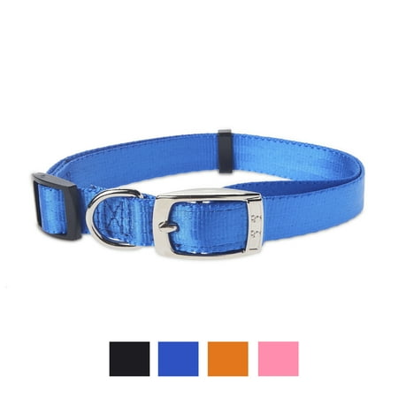 Vibrant Life Solid Nylon Dog Collar with Metal Clasp, Blue, (Best Blue Collar Business To Start)