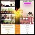thumbnail image 4 of Para Plantas, Luz De Crecimiento De Espectro Completo Para Interiores Con Temporizador, Barra De Luz Led Para Invernadero, 4 of 6