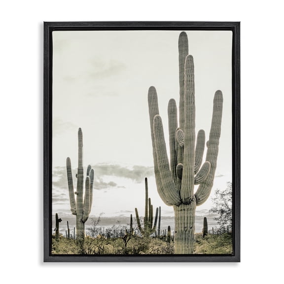 Stupell Industries Subdued Desert Cacti Black Framed Floater Canvas Wall Art, design by Kim Allen