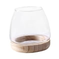 thumbnail image 4 of Maceta de vidrio transparente con soporte de madera para propagación de plantas, de mesa Grande, 4 of 9