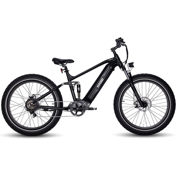 HAOQI Black Cheetah 48V 16Ah 750W Fat Tire Full Suspension Mountain