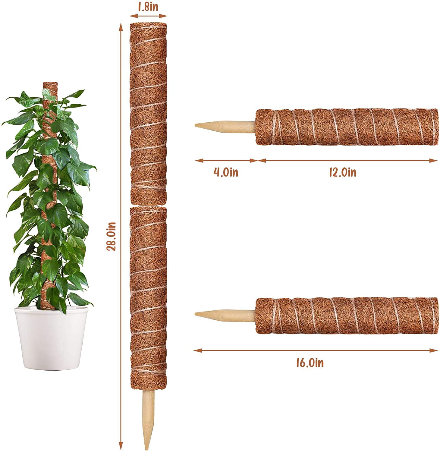 KXCOFTXI 32in Moss Pole, 2 Pack 16in Moss Coir Totem Pole for Pothos, Moss Plant Stick, Indoor Plant Stake, Small Moss Pole for Monstera and Climbing Indoor