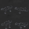thumbnail image 5 of Barra de realce en forma de S, ayudante de realce con asas de espuma para gimnasio en casa, entrenamiento físico, entrenamiento muscular, 1 par YUNYI BRAND  Deportes, 5 of 5