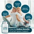 thumbnail image 3 of PUREHEALTH RESEARCH Lymph System Support Supplement - Lymphatic Drainage Supplement with Dandelion Extract, Cleavers, Burdock Powder - Reduce Swelling and Cleanse Lymph, 3 of 9