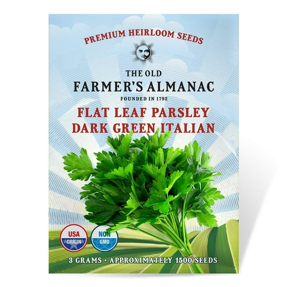 The Old Farmer's Almanac Dark Green Italian Flat Leaf Parsley Seeds (Premium Heirloom, Non-GMO, Open Pollinated, Herb, Full Sun) - Approx 1800 Seeds