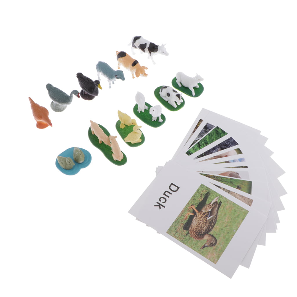 Farm Animals Group Model Card Multicolor Plastic Educational for Montessori 