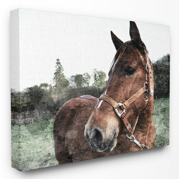 The Stupell Home Decor Collection Horse Posing In Field Wall Art