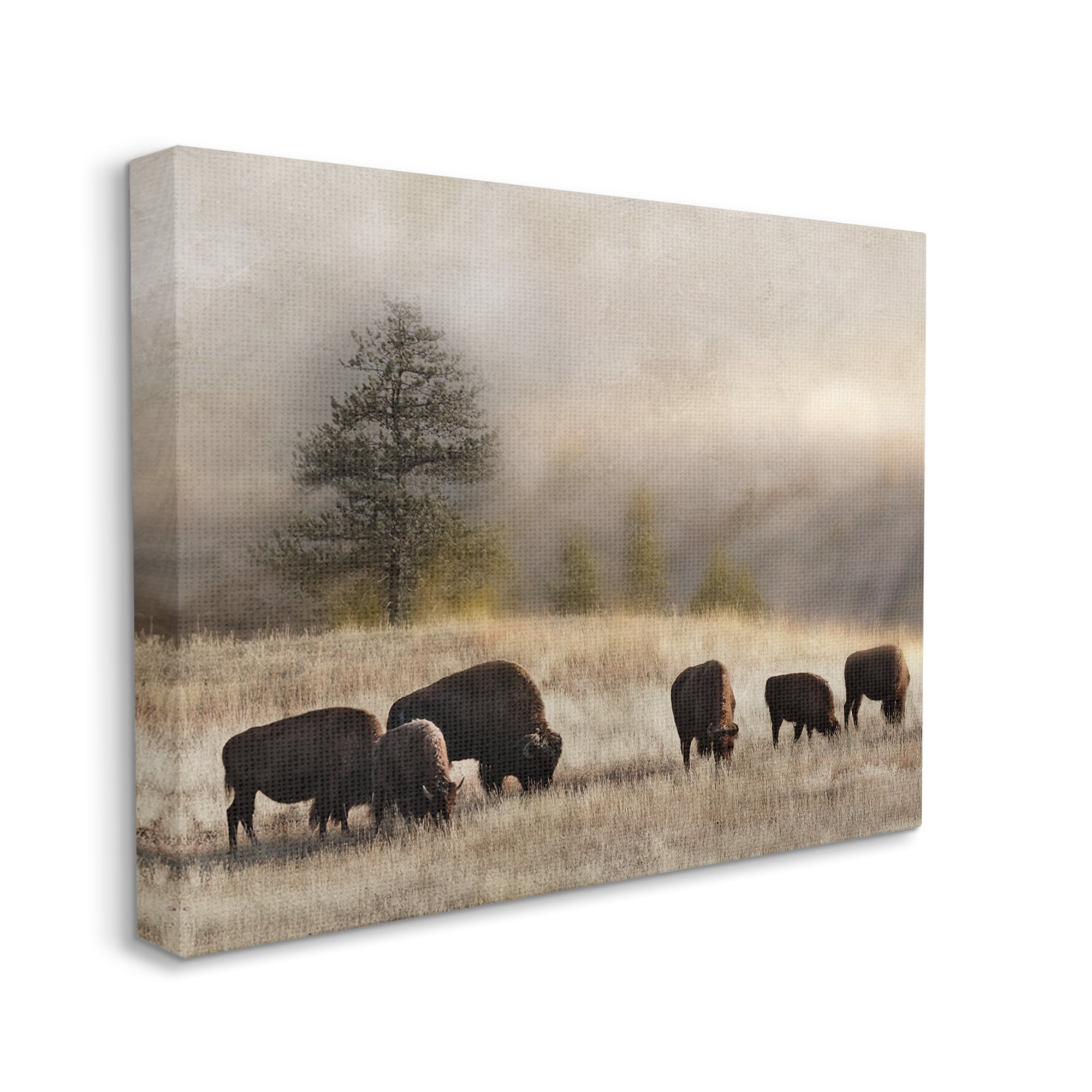 Stupell Industries Grazing Bison Rural Grassland Meadow Panoramic Scene Photograph Gallery Wrapped Canvas Print Wall Art, Design by Danita Delimont