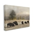 thumbnail image 3 of Stupell Industries Grazing Bison Rural Grassland Meadow Panoramic Scene Photograph Gallery Wrapped Canvas Print Wall Art, Design by Danita Delimont, 3 of 7
