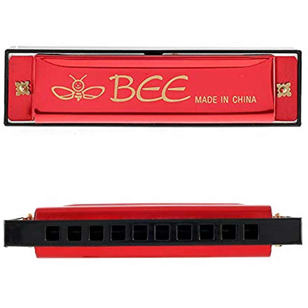 Harmonica 10 Trous 20 Tons Pour Débutants - Bleu, Métal Et ABS, Instrument Musical Enfant Et Adulte