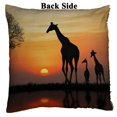 thumbnail image 2 of PKQWTM Silhouette Of Giraffe With Reflection In Water Reversible Mermaid Cushion Cover Home Decor Sequin Pillow Case Size 20x20 inches, 2 of 2