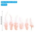 thumbnail image 2 of Uxcell 2.8''-5.5'' Saddle Hackle Rooster Feather Bulk Natural Feathers Fluffy Craft Feathers 100 Pcs Pink, 2 of 6
