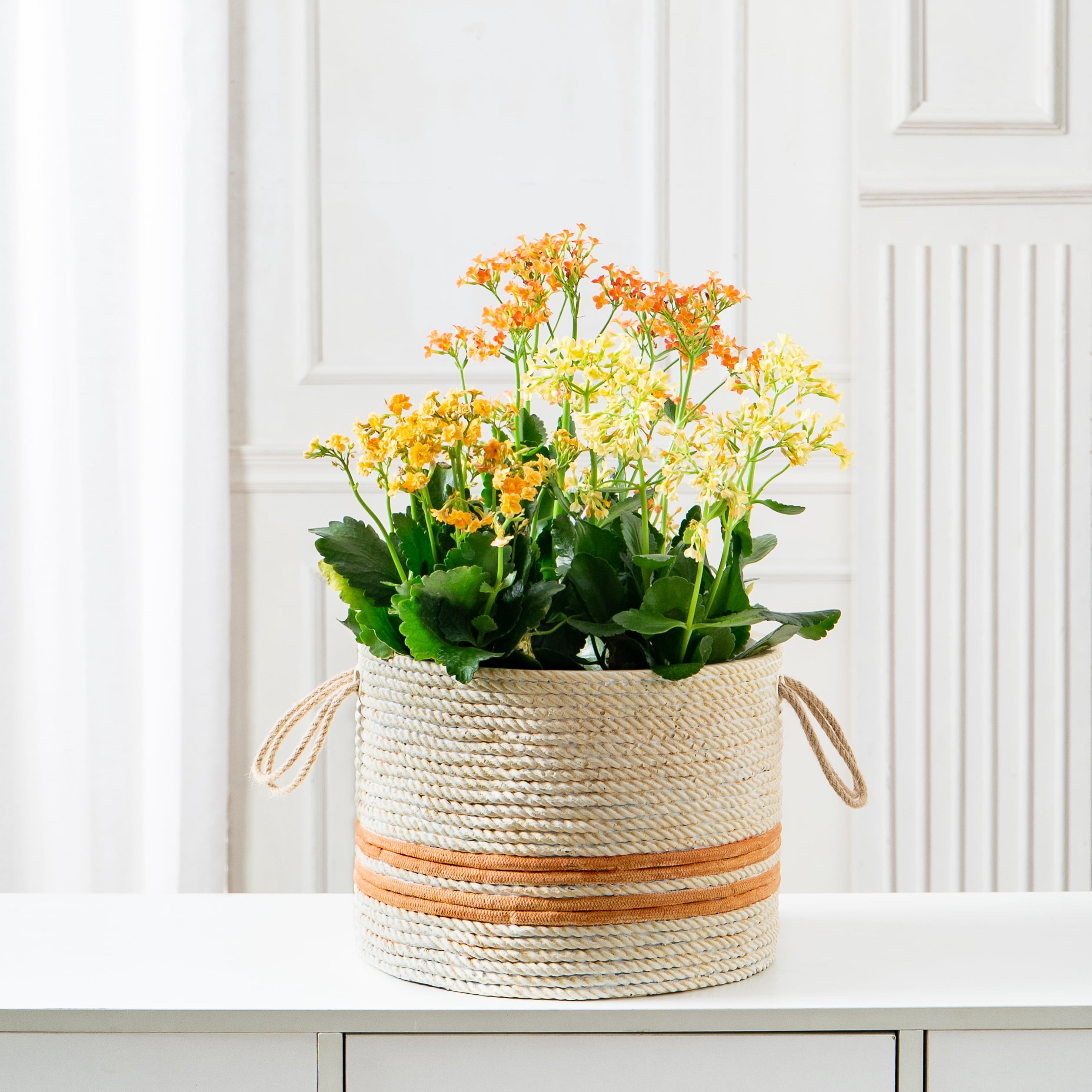 Better Homes & Gardens 12" x 12" x 9" Round Brown Concrete Weaves Seasons Green Hornet Plant Pot with Drainage Hole