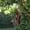 Red, variant on Alpine Corporation 8" x 17" Hanging Swirly Vintage Wood Birdhouse, Green