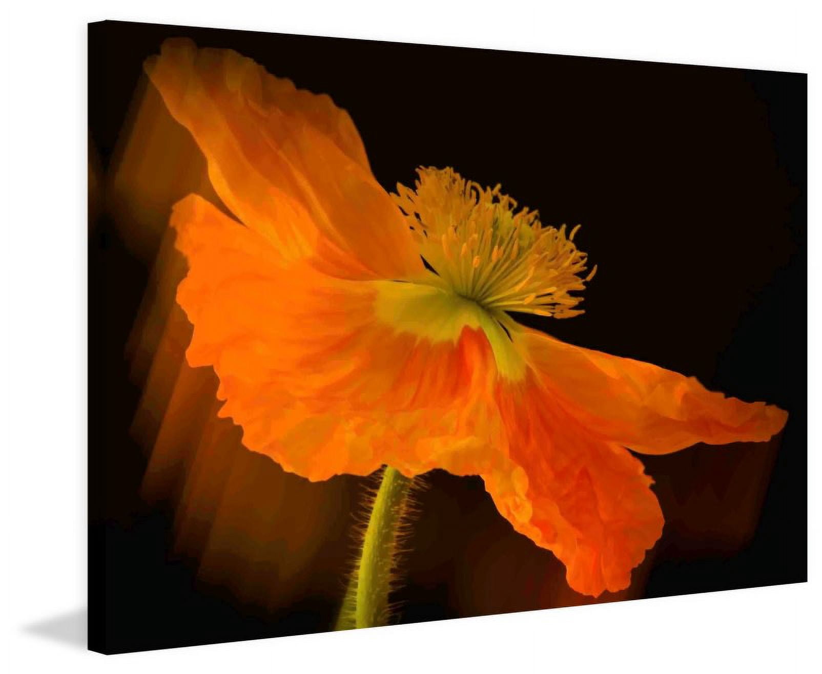Marmont Hill "Dramatic Orange Poppy" Painting Print on Canvas