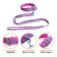 thumbnail image 2 of Juego De Collar Ajustable Y Correa Reflejante Para Perro Med, 2 of 6