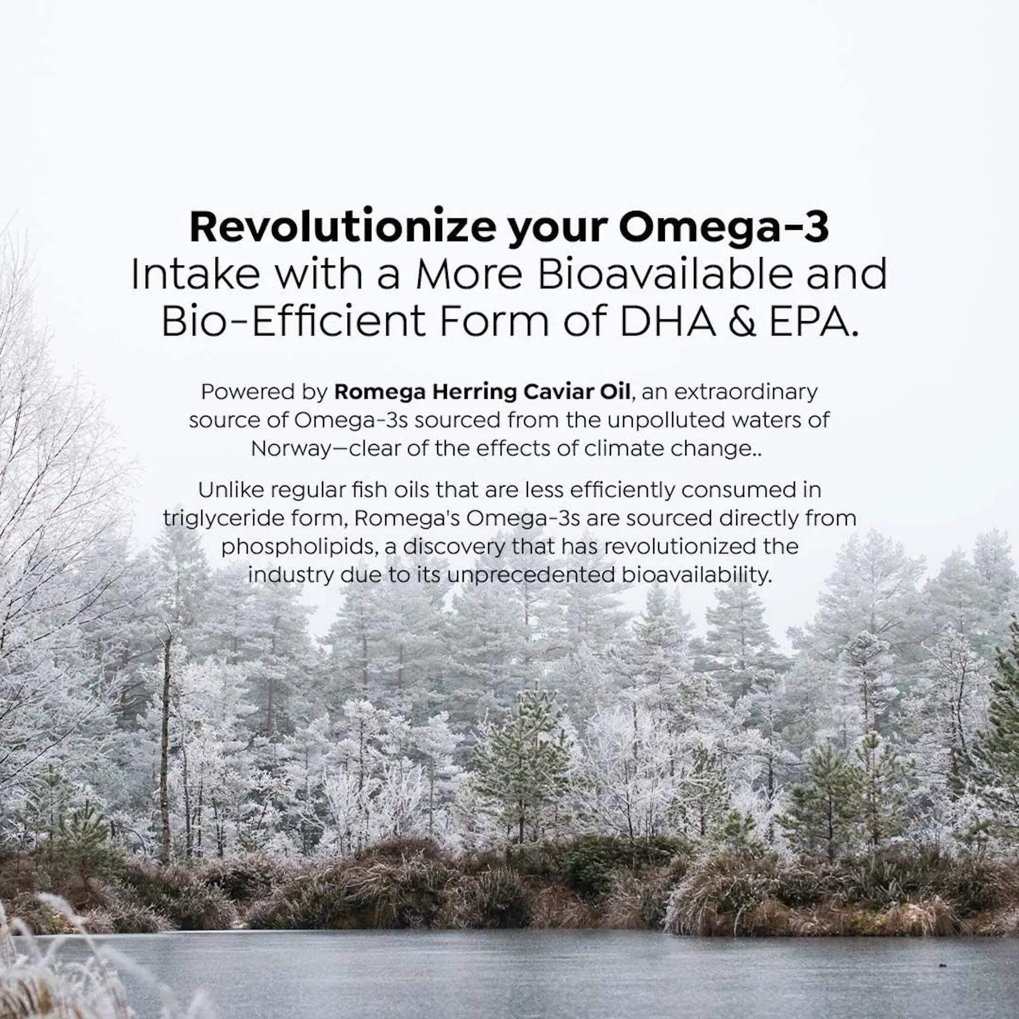 Premium Phospholipid Complex with Herring Caviar Oil – Omega-3 DHA Supplement with Burpless Fish Oil – Brain & Cellular Support – 180 Softgels