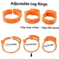 thumbnail image 3 of Paquete de 100 anillos ajustables para patas de pollo con clips para marcar aves de corral y anillos de granja y rancho (naranja), 3 of 5