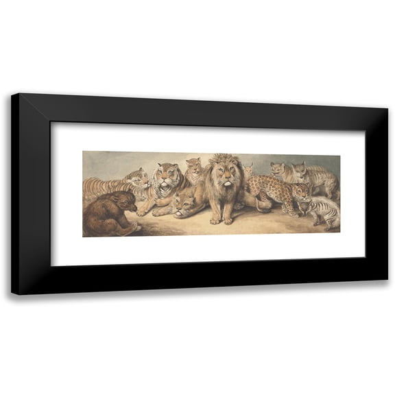 Samuel Howitt 14x8 Black Modern Framed Museum Art Print Titled - Animals of the Cat Family, with a Bear and Foxes