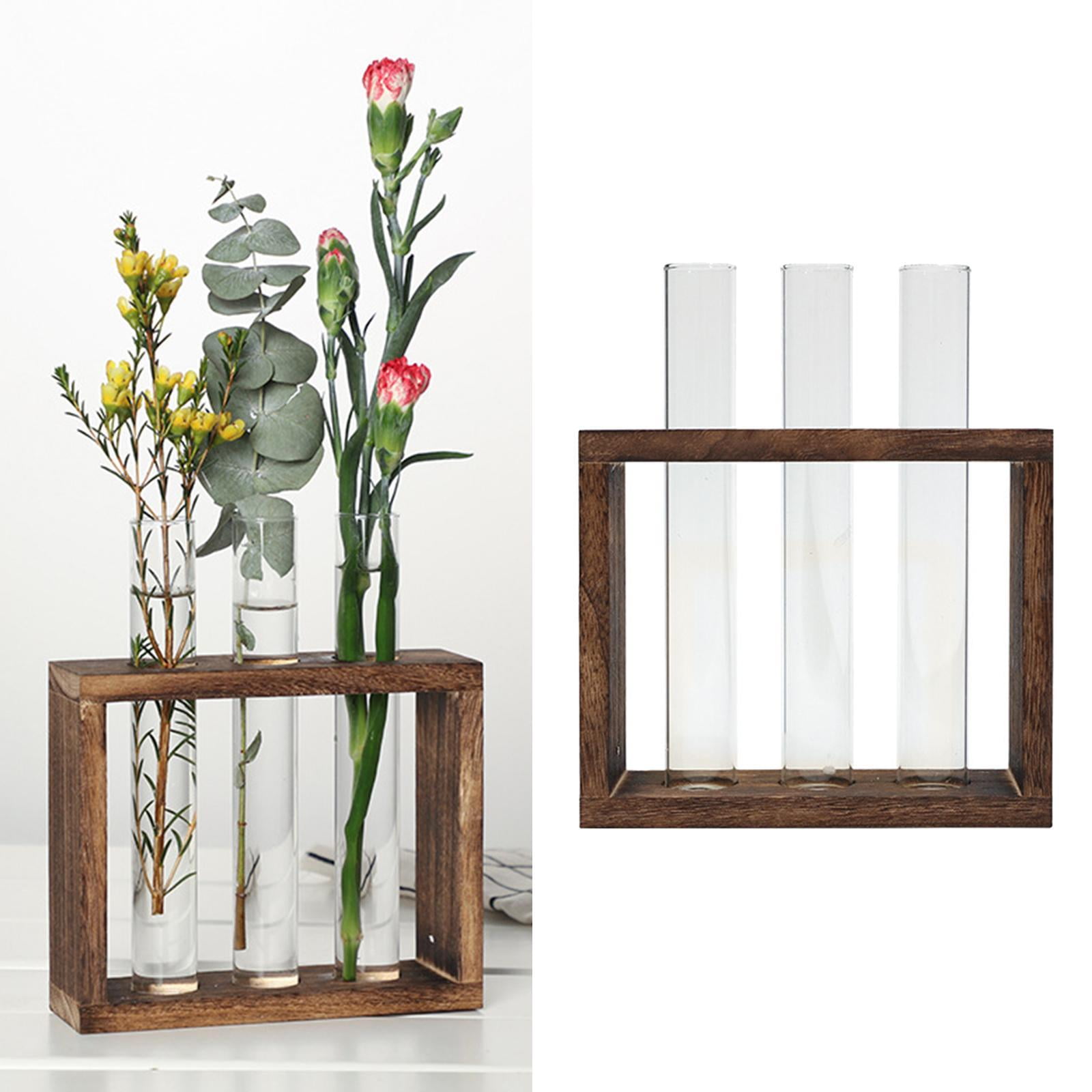 Plant Terrarium, Desktop Glass Planter Glass Vase With Wooden Stand