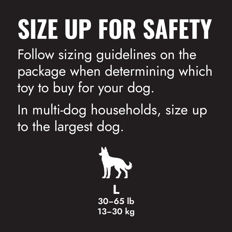 KONG Extreme Flyer Disc for Dogs, Large, 30-65 lbs photo 5