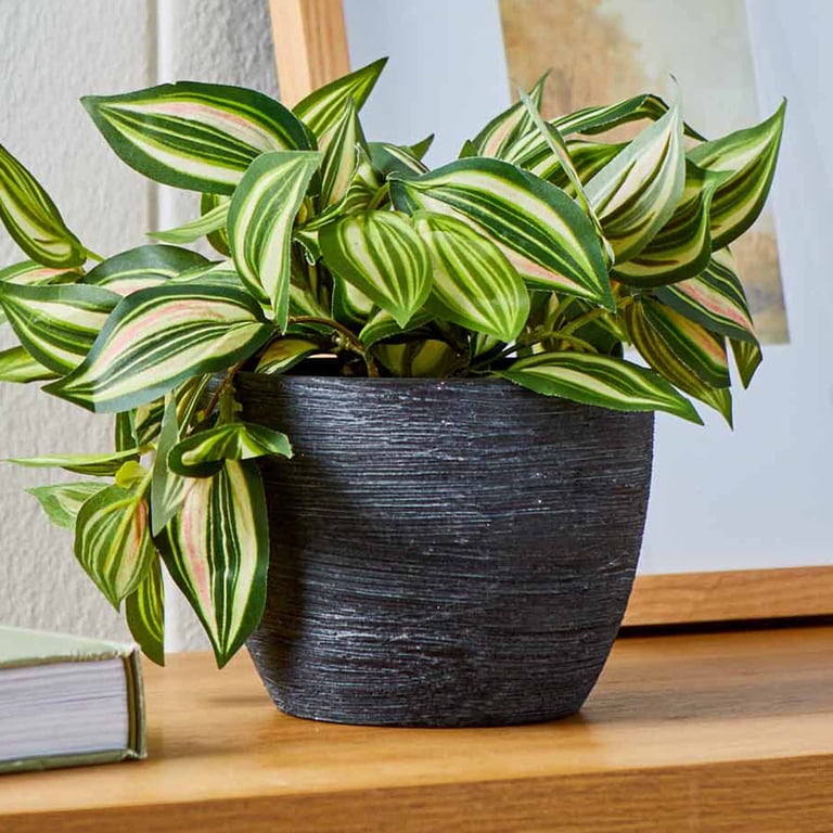 Better Homes & Gardens 4.5 in Textured Ceramic Plant Pot, Black photo 2