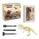 thumbnail image 1 of Kit de excavación científica de fósiles de dinosaurios para niños, 1 of 1