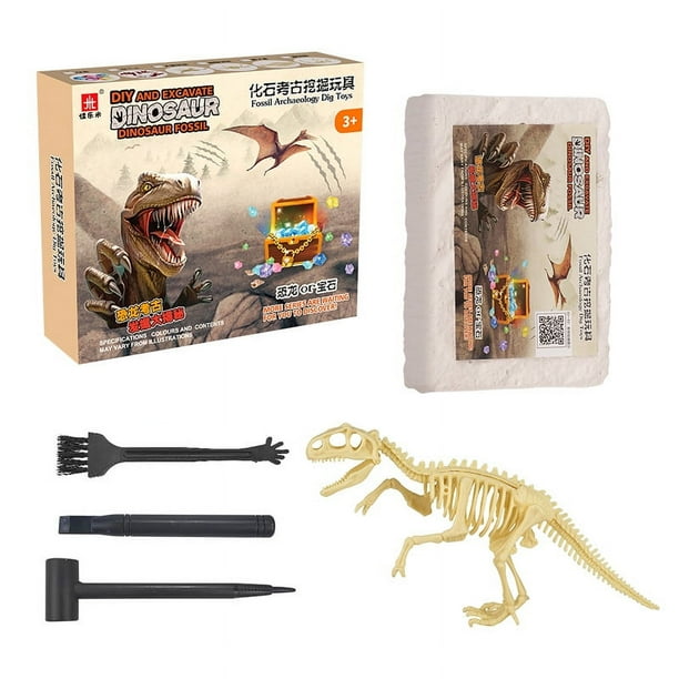 Kit de excavación científica de fósiles de dinosaurios para niños