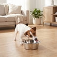 thumbnail image 3 of Vibrant Life Small 3.4-Cup Stainless Steel Pet Bowl, Silver, 3 of 10