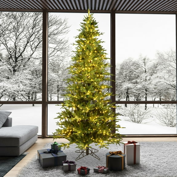 Vickerman 12' x 72" Kamas Fraser Fir Tree, Warm White Low Voltage 3MM LED Lights.