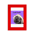 thumbnail image 1 of Primate Baboon Papio Cadre Photo Rouge, 1 of 4