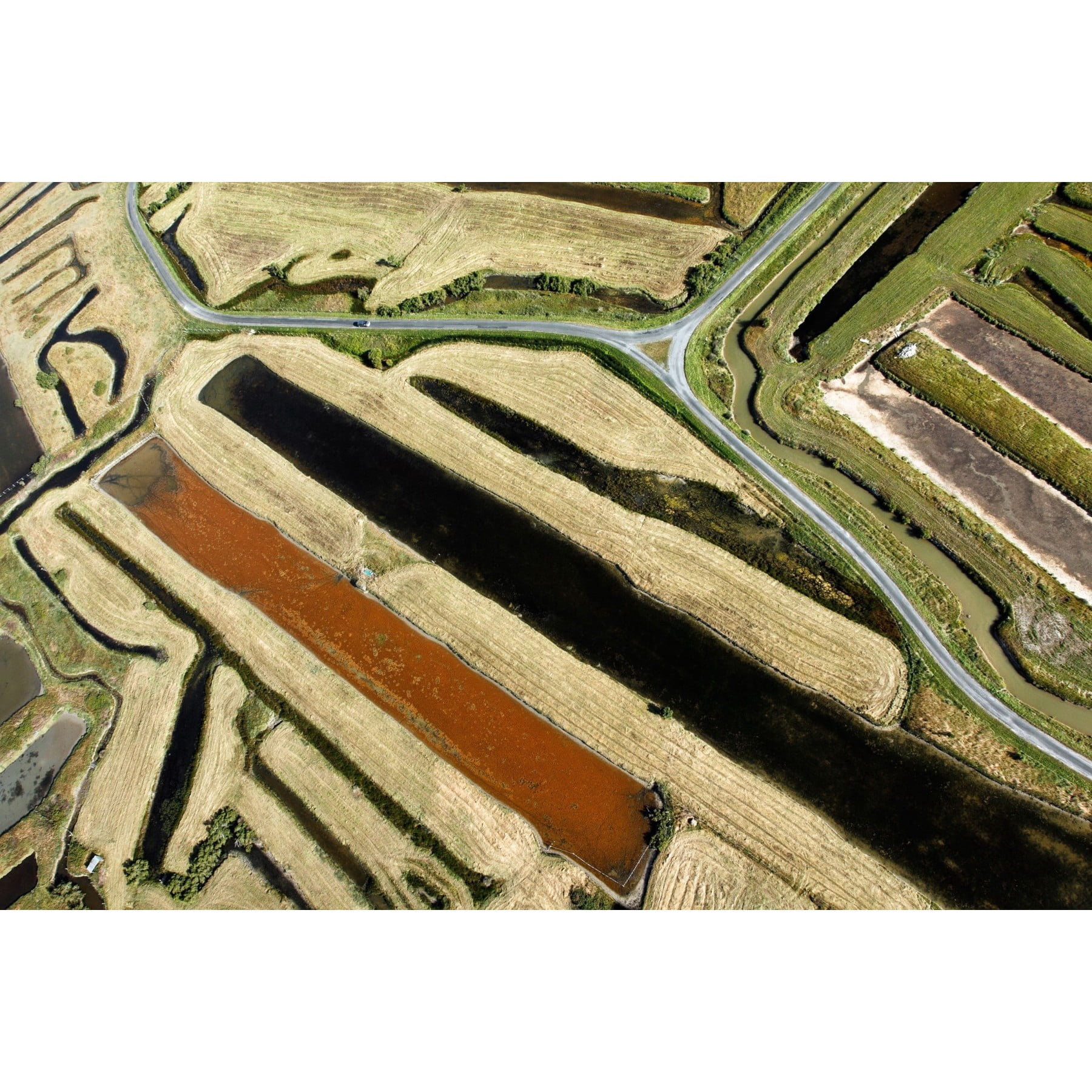 Marmont Hill "Green Paths" Painting Print on Wrapped Canvas