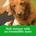 thumbnail image 2 of Greenies PILL POCKETS Dog Treats Tablet Size Adult Natural Soft Chicken Flavour, 2 of 13