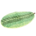 thumbnail image 2 of Anti-slip Floor Mat, Bathroom Mat Door Mat, Non-slip Mat For Outdoor Balcony, 2 of 8