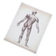 thumbnail image 2 of Póster de anatomía humana. Póster de enseñanza de anatomía. Decoración para colgar en la pared. Póster de anatomía., 2 of 7