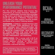 BSN Amino X Amino Acids + BCAA Powder, Fruit Punch, 70 Servings