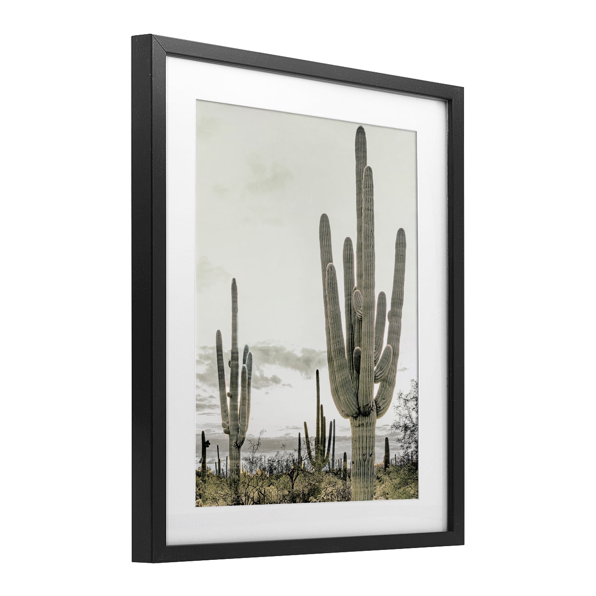 Stupell Industries Subdued Desert Cacti Black Framed Print Under Glass, design by Kim Allen