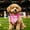 Pink, variant on Personalized Dog Bandana with Country Design and Name Custom Pet Scarf, Summer Dog Bandana, Puppy Cat Scarfs for Small Medium Large Girl Boy Pup Pet Green