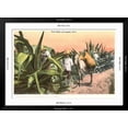 thumbnail image 5 of Art.com Maguey Juice Harvest Art Print, Black Frame Wall Art, 44" x 32", 5 of 5