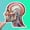 1pcs, variant on Anatomical Brain Nurse Doctor Medical Brain Head Skull Nerve Doc Nurse Emt Sticker