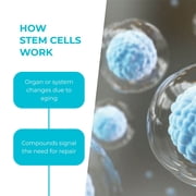 Healthy Home StemActive Stem Cell Activator 60 Capsules