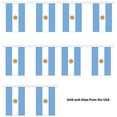thumbnail image 3 of 10' Argentina String Flag Party Bunting Has 10 Argentinean 6"x9" Polyester Banner Flags Attached, Popular For School Classroom, Bars, Restaurants, World Cup Theme Parties, 3 of 3