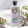 thumbnail image 3 of Herbal Essences Jojoba Oil & Lavender Curls Shampoo, 3 of 9