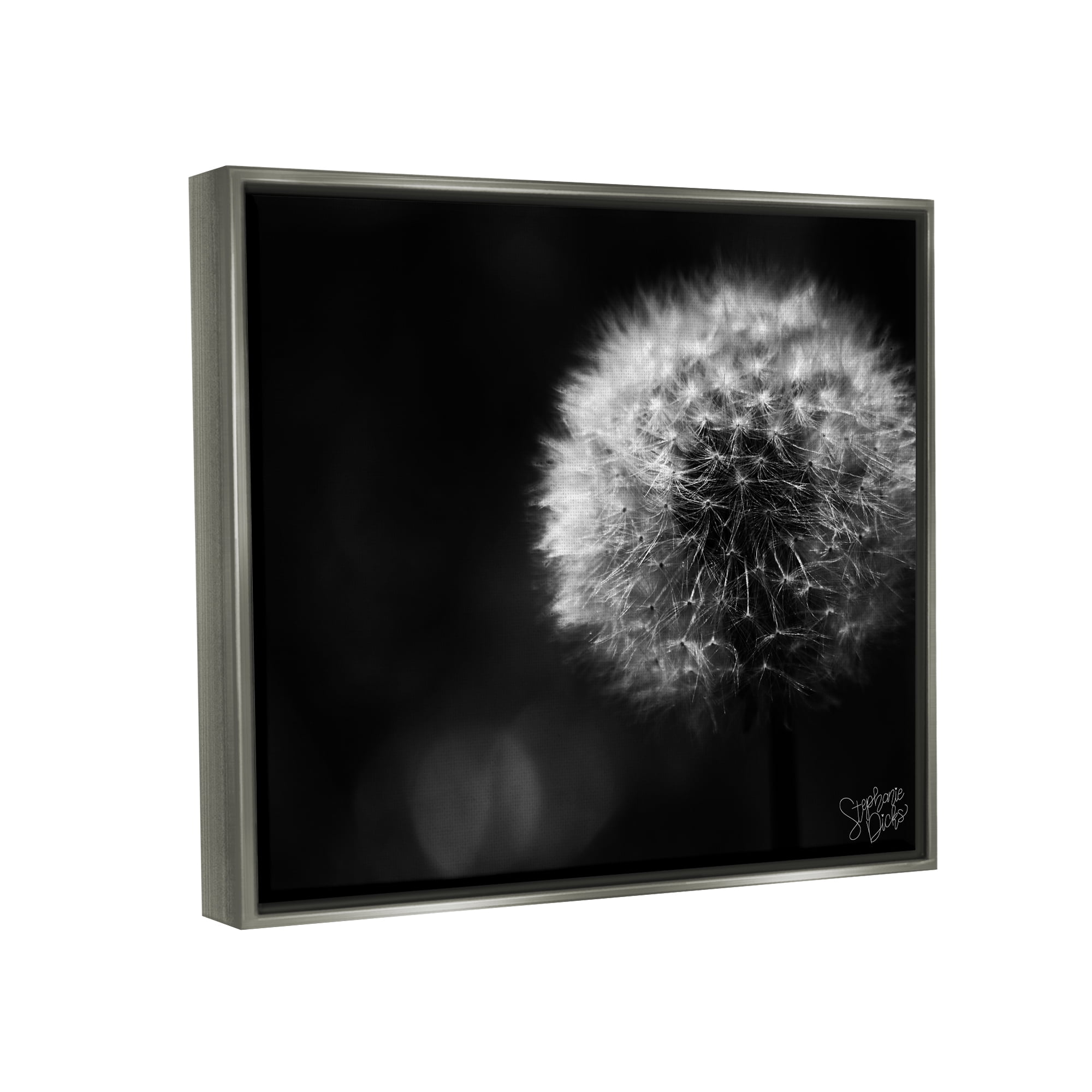 Stupell Modern Black Dandelion Photography Botanical & Floral Photography Gray Floater Framed Art Print Wall Art