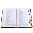thumbnail image 3 of Biblia de Estudio del Diario Vivir Ntv (Sentipiel, Café/Rosa, Índice, Letra Roja), (Hardcover), 3 of 5