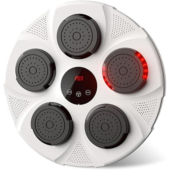 RKXQT Electronic Music Boxing Machine for Kids Adults, Wall Mounted Boxing Machine, Bluetooth Connection for Stress Relief Boxing Training